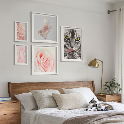 Set di quadri incorniciati Gatti rose delicate sfumature
