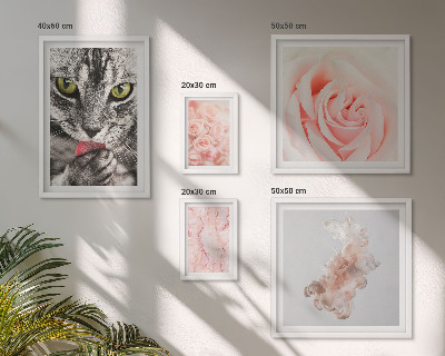 Set di quadri incorniciati Gatti rose delicate sfumature
