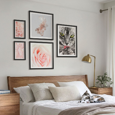Set di quadri incorniciati Gatti rose delicate sfumature