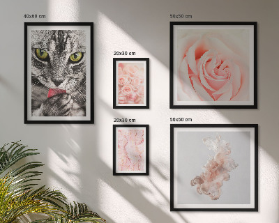 Set di quadri incorniciati Gatti rose delicate sfumature