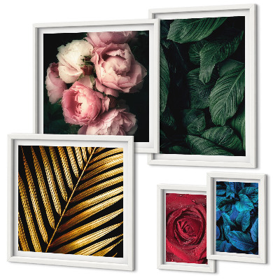 Set di 5 quadri Motivi floreali vegetali