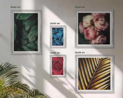 Set di 5 quadri Motivi floreali vegetali
