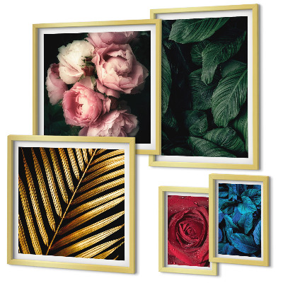 Set di 5 quadri Motivi floreali vegetali