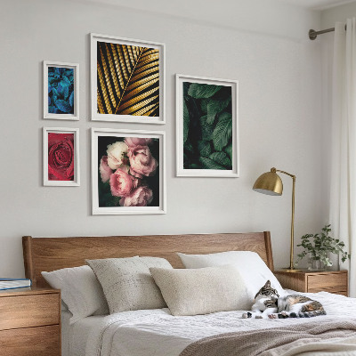 Set di 5 quadri Motivi floreali vegetali