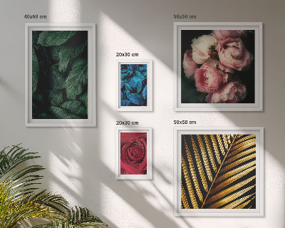 Set di 5 quadri Motivi floreali vegetali