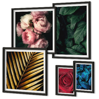 Set di 5 quadri Motivi floreali vegetali