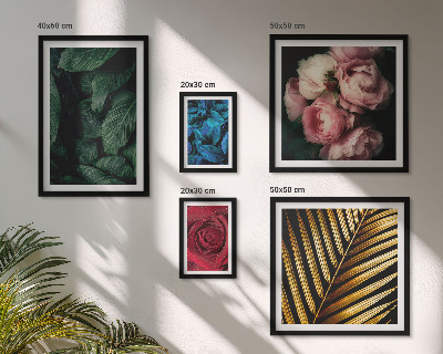 Set di 5 quadri Motivi floreali vegetali