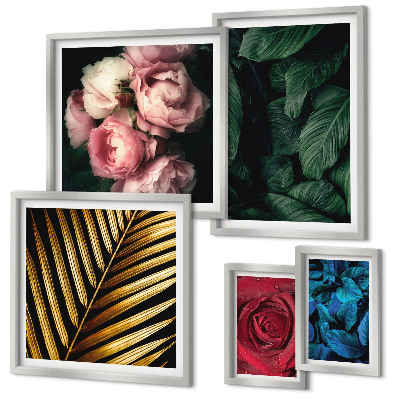 Set di 5 quadri Motivi floreali vegetali