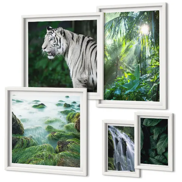 Set di quadri incorniciati con animali della natura tropicale