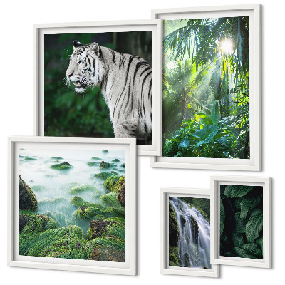 Set di quadri incorniciati animali della natura tropicale