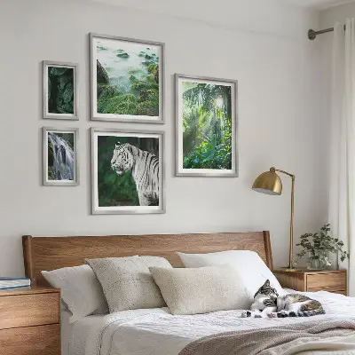 Set di quadri incorniciati con animali della natura tropicale
