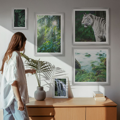 Set di quadri incorniciati animali della natura tropicale