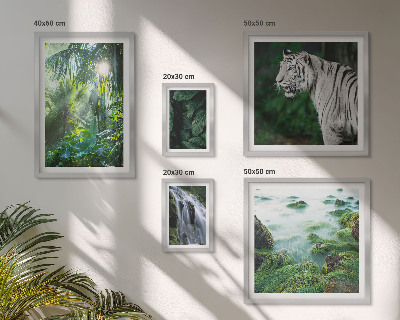 Set di quadri incorniciati animali della natura tropicale