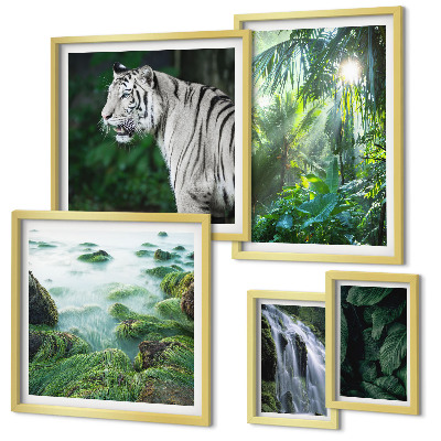 Set di quadri incorniciati animali della natura tropicale