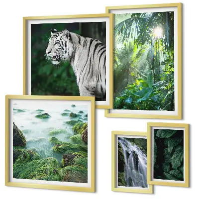 Set di quadri incorniciati con animali della natura tropicale