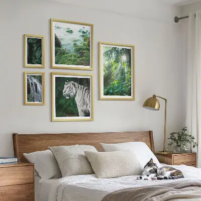 Set di quadri incorniciati con animali della natura tropicale
