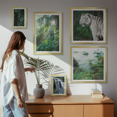 Set di quadri incorniciati animali della natura tropicale