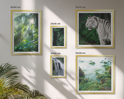 Set di quadri incorniciati animali della natura tropicale