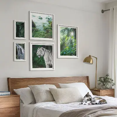Set di quadri incorniciati con animali della natura tropicale