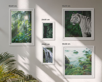 Set di quadri incorniciati animali della natura tropicale