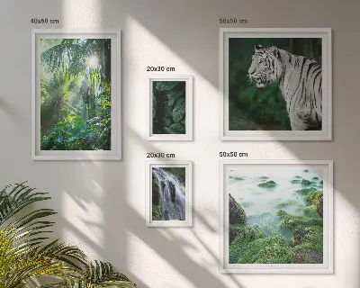 Set di quadri incorniciati con animali della natura tropicale
