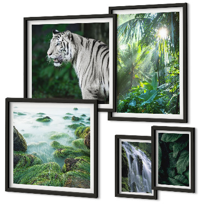 Set di quadri incorniciati animali della natura tropicale