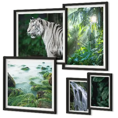 Set di quadri incorniciati con animali della natura tropicale