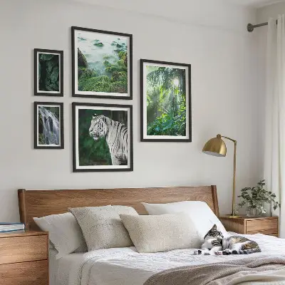 Set di quadri incorniciati con animali della natura tropicale