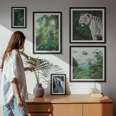 Set di quadri incorniciati animali della natura tropicale