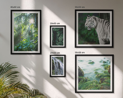 Set di quadri incorniciati animali della natura tropicale