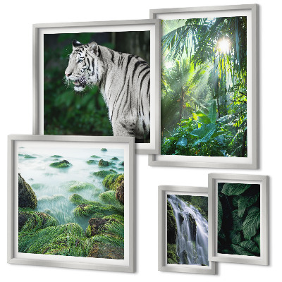 Set di quadri incorniciati animali della natura tropicale