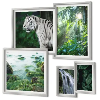 Set di quadri incorniciati con animali della natura tropicale