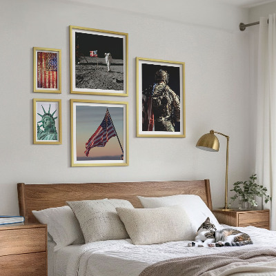 Set di 5 quadri Simbolismo americano della storia