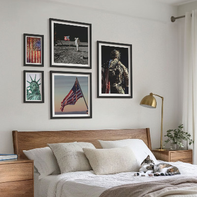 Set di 5 quadri Simbolismo americano della storia