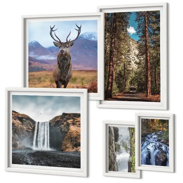 Set di 5 quadri raffiguranti paesaggi, cascate e natura