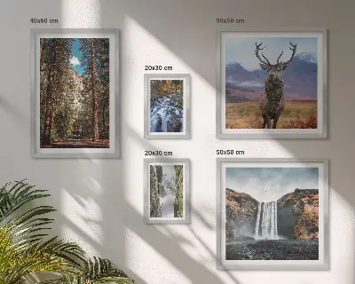 Set di 5 quadri raffiguranti paesaggi, cascate e natura