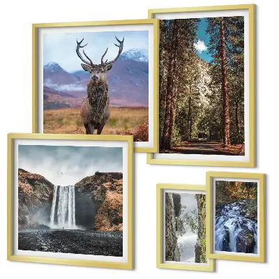 Set di 5 quadri raffiguranti paesaggi, cascate e natura