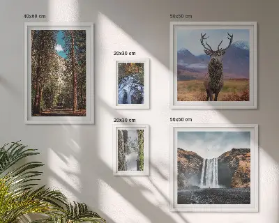 Set di 5 quadri raffiguranti paesaggi, cascate e natura