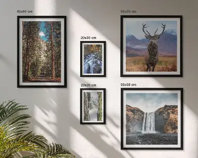 Set di 5 quadri raffiguranti paesaggi, cascate e natura