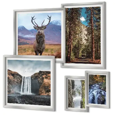 Set di 5 quadri raffiguranti paesaggi, cascate e natura