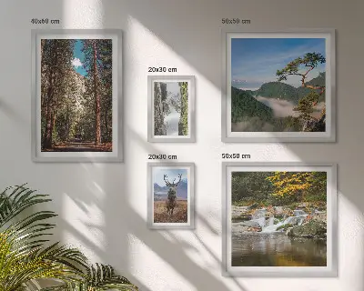 Set di quadri incorniciati con paesaggi montani e natura selvaggia