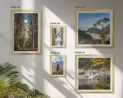 Set di quadri incorniciati con paesaggi montani e natura selvaggia