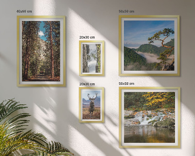 Set di quadri incorniciati Paesaggi montani e natura selvaggia