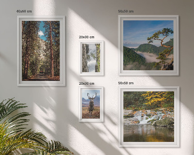 Set di quadri incorniciati Paesaggi montani e natura selvaggia