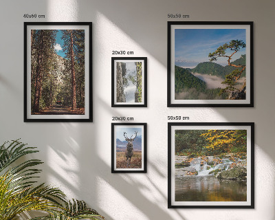 Set di quadri incorniciati Paesaggi montani e natura selvaggia