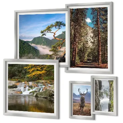Set di quadri incorniciati con paesaggi montani e natura selvaggia
