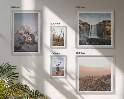 Set di quadri incorniciati con paesaggi montani e animali selvatici