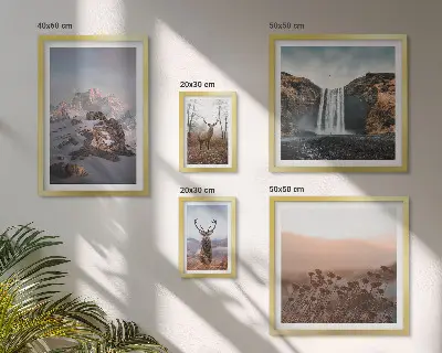 Set di quadri incorniciati con paesaggi montani e animali selvatici