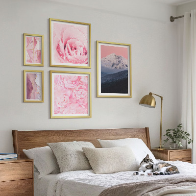 Set di 5 quadri Paesaggi rosa, fiori moderni