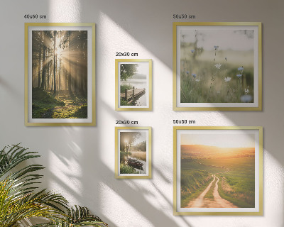 Set di quadri incorniciati Paesaggi forestali sole acqua